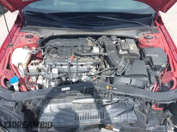 2024 Hyundai Elantra N Line z VIN KMHLR4DF2RU795871, wystawiony jako IAAI lot #42513157 z przebiegiem 35 799 mil mil oraz . Historia ofert i sprzedaży dostępna na DreamBid. Obrazek 18.