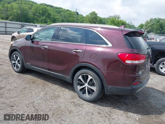 2017 Kia Sorento EX z VIN 5XYPHDA51HG289386, wystawiony jako IAAI lot #42419455 z przebiegiem 146 464 mil mil oraz . Historia ofert i sprzedaży dostępna na DreamBid. Obrazek 3.
