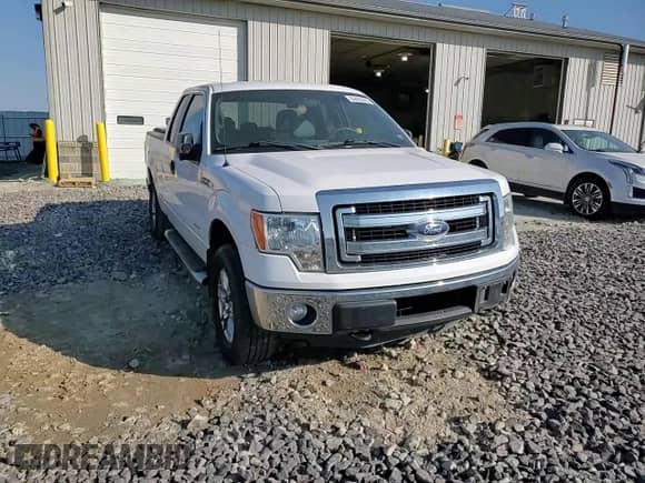 2013 Ford F-150 XLT with VIN 1FTFX1ET9DFB22910, listed as a Copart auction lot 86483645 with 180,930 mi miles and Salvage title. Bid and sale history available at DreamBid. Image 13.