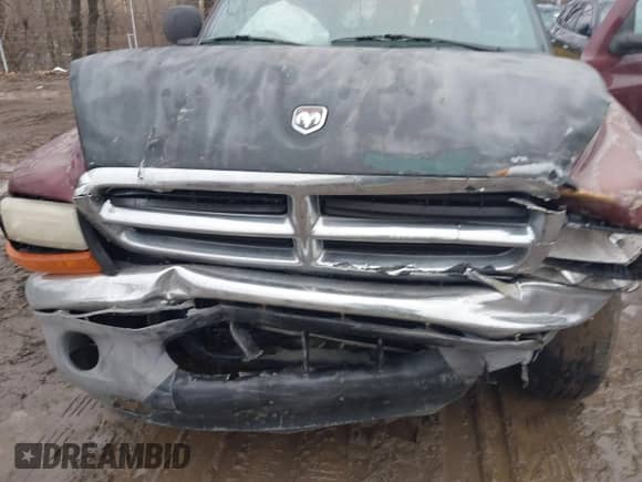 2000 Dodge Dakota Sport with VIN 1B7GL22N9YS577541, listed as a IAAI auction lot 41481221 with 148,815 mi miles and . Bid and sale history available at DreamBid. Image 6.