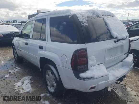 2002 Chevrolet TrailBlazer LS с VIN 1GNDT13S122276844, выставлен на аукционе Copart как лот 48006595 с пробегом 92 434 миль миль и Списание • Salvage title. История ставок и продаж доступна на DreamBid. Изображение 2.