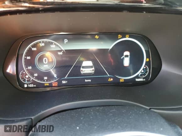 2020 Hyundai Palisade Limited with VIN KM8R5DHE3LU119508, listed as a Copart auction lot 46470854 with 76,055 mi miles and . Bid and sale history available at DreamBid. Image 9.