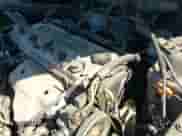 2000 Honda Accord EX с VIN 1HGCG5667YA139065, выставлен на аукционе IAAI как лот 41393479 с пробегом 194 426 миль миль и . История ставок и продаж доступна на DreamBid. Изображение 12.