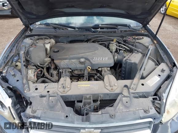 2008 Chevrolet Impala LS с VIN 2G1WB55K989200185, выставлен на аукционе IAAI как лот 43250066 с пробегом 185 955 миль миль и . История ставок и продаж доступна на DreamBid. Изображение 10.