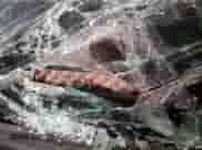 2004 Honda Accord EX with VIN 1HGCM56814A164130, listed as a Copart auction lot 80145405 with Not provided miles and Salvage title. Bid and sale history available at DreamBid. Image 12.