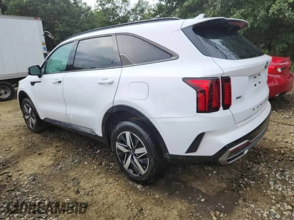 2021 Kia Sorento EX with VIN 5XYRHDLF7MG059652, listed as a Copart auction lot 66448735 with 60,904 mi miles and Salvage title. Bid and sale history available at DreamBid. Image 2.