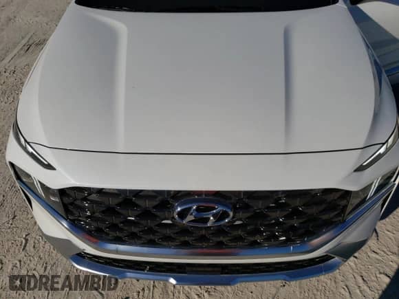 2022 Hyundai Santa Fe Calligraphy with VIN 5NMS54AL2NH422370, listed as a Copart auction lot 71980322 with 11,053 mi miles and . Bid and sale history available at DreamBid. Image 13.