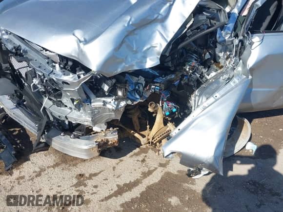 2024 Toyota Tacoma SR with VIN 3TYKD5HN4RT016047, listed as a IAAI auction lot 41335702 with Not provided miles and . Bid and sale history available at DreamBid. Image 6.