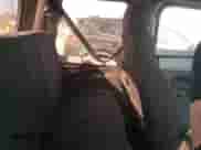 2005 Jeep Wrangler SE z VIN 1J4FA29195P366658, wystawiony jako Copart lot #46220295 z przebiegiem 67 359 mil mil oraz Szkoda całkowita • Salvage title. Historia ofert i sprzedaży dostępna na DreamBid. Obrazek 10.