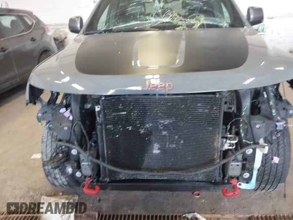 2020 Jeep Grand Cherokee Trailhawk with VIN 1C4RJFLG6LC101899, listed as a IAAI auction lot 42592283 with 116,619 mi miles and . Bid and sale history available at DreamBid. Image 12.