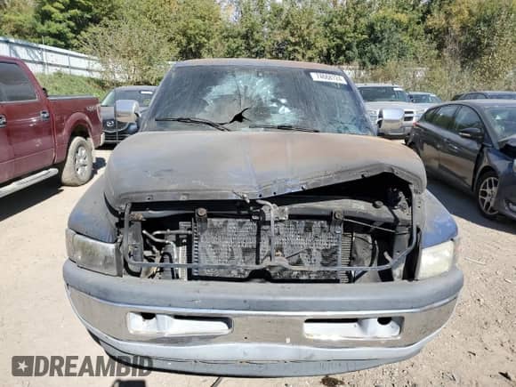 1994 Dodge 1500 with VIN 3B7HC16Z1RM566829, listed as a Copart auction lot 74668724 with 122,751 mi miles and Clean title. Bid and sale history available at DreamBid. Image 5.