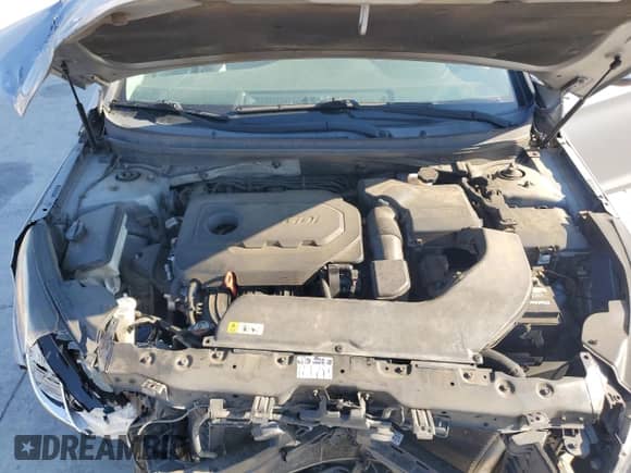 2016 Hyundai Sonata SE z VIN 5NPE24AF5GH298147, wystawiony jako Copart lot #80744895 z przebiegiem 205 097 mil mil oraz Szkoda całkowita • Salvage title. Historia ofert i sprzedaży dostępna na DreamBid. Obrazek 11.