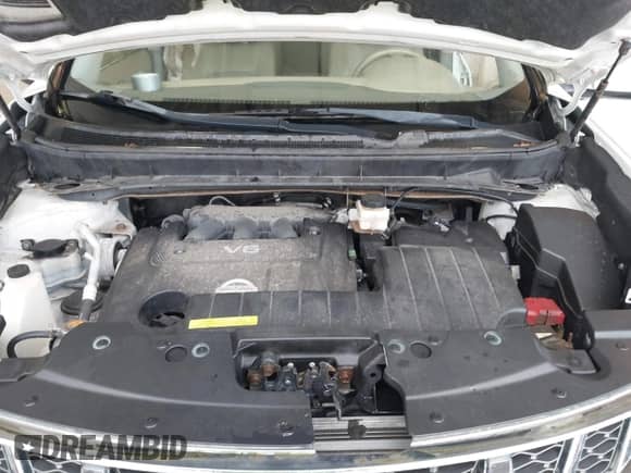 2011 Nissan Murano S с VIN JN8AZ1MU8BW068676, выставлен на аукционе IAAI как лот 42907850 с пробегом 60 486 миль миль и . История ставок и продаж доступна на DreamBid. Изображение 10.