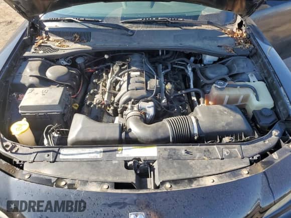 2010 Dodge Charger Police с VIN 2B3CA4CT5AH118681, выставлен на аукционе Copart как лот 70926824 с пробегом 74 169 миль миль и Чистый • Clean title. История ставок и продаж доступна на DreamBid. Изображение 11.