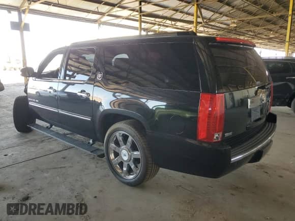 2010 Cadillac Escalade ESV Premium with VIN 1GYUKJEF5AR100794, listed as a Copart auction lot 61217194 with Not provided miles and Salvage title. Bid and sale history available at DreamBid. Image 2.