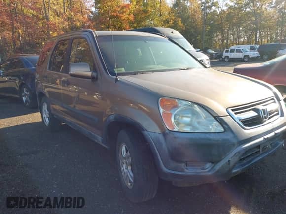 2002 Honda CR-V EX with VIN JHLRD78802C061769, listed as a IAAI auction lot 43497019 with Not provided miles and . Bid and sale history available at DreamBid. Image 6.