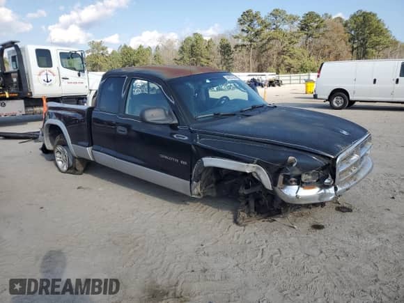 2001 Dodge Dakota with VIN 1B7GG22X41S309217, listed as a Copart auction lot 44257285 with 153,872 mi miles and Salvage title. Bid and sale history available at DreamBid. Image 4.