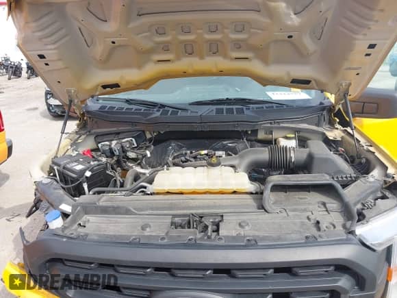 2021 Ford F-150 XL с VIN 1FTEX1CP5MKE18886, выставлен на аукционе IAAI как лот 43424757 с пробегом 54 260 миль миль и . История ставок и продаж доступна на DreamBid. Изображение 10.