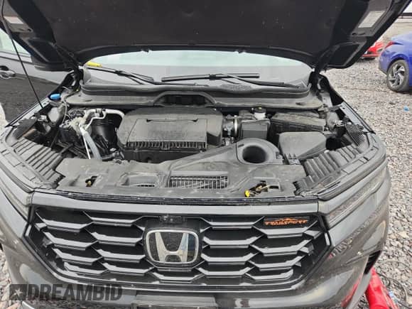 2023 Honda Pilot TrailSport with VIN 5FNYG1H64PB046004, listed as a Copart auction lot 81398925 with 31,988 mi miles and Salvage title. Bid and sale history available at DreamBid. Image 11.