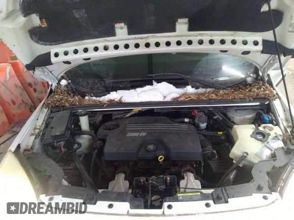 2008 Chevrolet Uplander Cargo с VIN 1GBDV13138D211828, выставлен на аукционе IAAI как лот 41607439 с пробегом 191 224 миль миль и . История ставок и продаж доступна на DreamBid. Изображение 10.