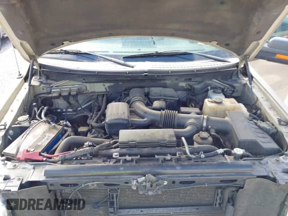 2010 Ford F-150 XL with VIN 1FTFW1EV7AFD30638, listed as a IAAI auction lot 43113747 with 216,145 mi miles and . Bid and sale history available at DreamBid. Image 10.