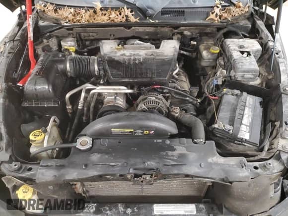 2011 Dodge Dakota с VIN 1D7RE3GP1BS636145, выставлен на аукционе Copart как лот 42037155 с пробегом 161 031 миль миль и Списание • Salvage title. История ставок и продаж доступна на DreamBid. Изображение 11.