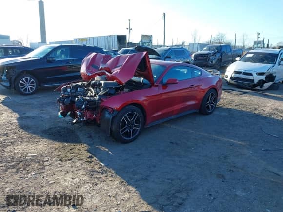 2023 Ford Mustang EcoBoost с VIN 1FA6P8TH0P5113505, выставлен на аукционе IAAI как лот 41330154 с пробегом 13 456 миль миль и . История ставок и продаж доступна на DreamBid. Изображение 2.