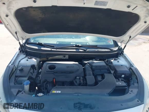 2016 Hyundai Sonata SE with VIN 5NPE24AF0GH272247, listed as a IAAI auction lot 43177299 with 162,462 mi miles and . Bid and sale history available at DreamBid. Image 10.