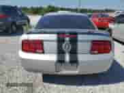 2006 Ford Mustang Standard with VIN 1ZVFT80N865193731, listed as a Copart auction lot 80250455 with Not provided miles and Salvage title. Bid and sale history available at DreamBid. Image 6.