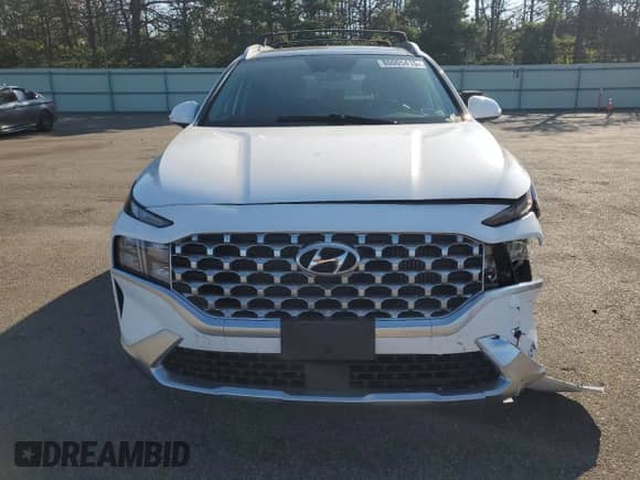 2022 Hyundai Santa Fe SEL Premium with VIN KM8S3DA13NU053253, listed as a Copart auction lot 80005415 with 31,803 mi miles and Salvage title. Bid and sale history available at DreamBid. Image 5.