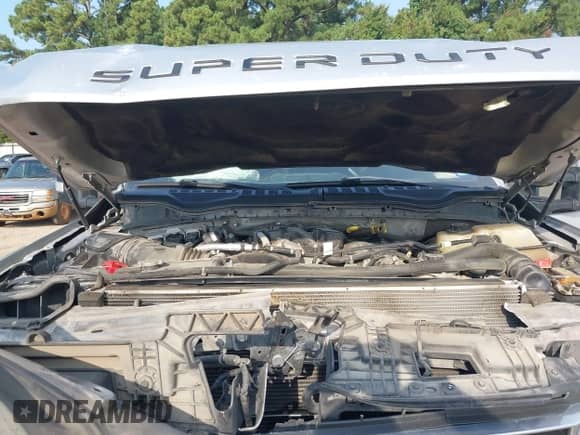 2019 Ford F-250 XL with VIN 1FT7W2BT0KED09618, listed as a IAAI auction lot 43151751 with 159,947 mi miles and . Bid and sale history available at DreamBid. Image 10.