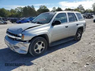 2007 Chevrolet TrailBlazer LS with VIN 1GNDT13S472269071, listed as a Copart auction lot 81902975 with 131,345 mi miles and Salvage title. Bid and sale history available at DreamBid. Image 1.