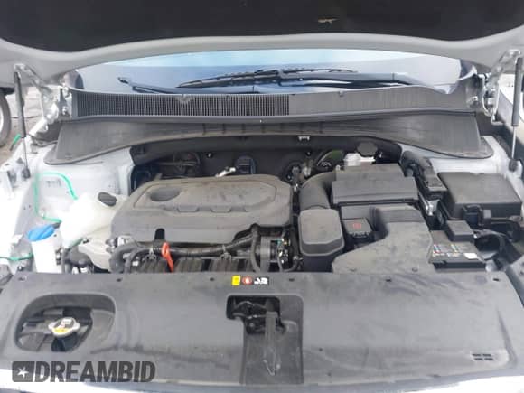 2019 Kia Sorento L z VIN 5XYPG4A30KG592930, wystawiony jako IAAI lot #42371726 z przebiegiem 61 178 mil mil oraz . Historia ofert i sprzedaży dostępna na DreamBid. Obrazek 10.