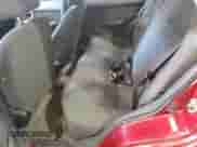 1999 Hyundai Accent GL z VIN KMHVF24N5XU575750, wystawiony jako Copart lot #52190805 z przebiegiem 205 655 mil mil oraz Czysty tytuł • Clean title. Historia ofert i sprzedaży dostępna na DreamBid. Obrazek 10.