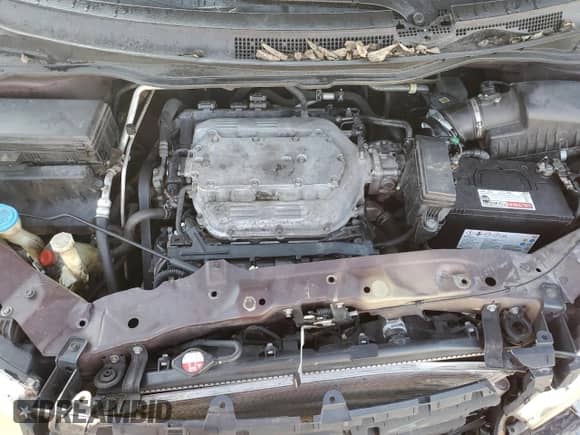 2011 Honda Odyssey EX с VIN 5FNRL5H48BB029186, выставлен на аукционе Copart как лот 84262505 с пробегом 221 237 миль миль и Списание • Salvage title. История ставок и продаж доступна на DreamBid. Изображение 12.