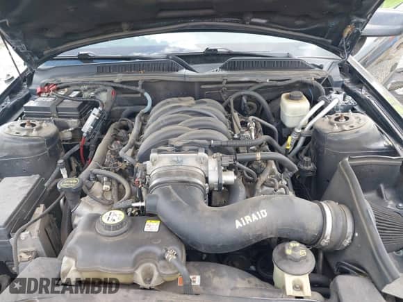 2007 Ford Mustang GT Deluxe z VIN 1ZVHT82H675250977, wystawiony jako IAAI lot #43314696 z przebiegiem 152 490 mil mil oraz . Historia ofert i sprzedaży dostępna na DreamBid. Obrazek 10.