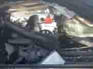 2013 Chevrolet Tahoe LTZ with VIN 1GNSCCE01DR147804, listed as a IAAI auction lot 43281756 with Not provided miles and . Bid and sale history available at DreamBid. Image 5.