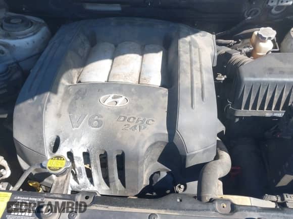 2003 Hyundai Santa Fe GLS с VIN KM8SC73D83U458935, выставлен на аукционе IAAI как лот 42853570 с пробегом 149 905 миль миль и . История ставок и продаж доступна на DreamBid. Изображение 10.