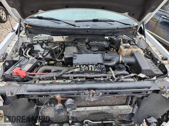 2010 Ford F-150 XL z VIN 1FTFW1EV3AFB72167, wystawiony jako Copart lot #86600895 z przebiegiem 194 049 mil mil oraz Czysty tytuł • Clean title. Historia ofert i sprzedaży dostępna na DreamBid. Obrazek 11.