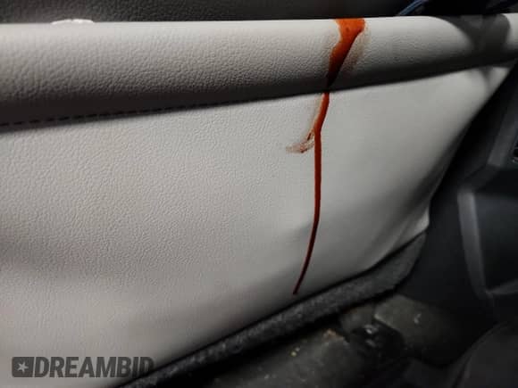 2024 Toyota Tundra SR5 with VIN 5TFLA5DB4RX140172, listed as a Copart auction lot 81808835 with Not provided miles and Salvage title. Bid and sale history available at DreamBid. Image 12.