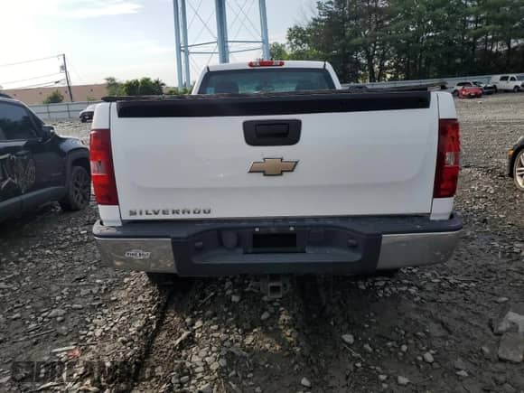 2009 Chevrolet Silverado 1500 Work Truck with VIN 1GCEC14C49Z159779, listed as a Copart auction lot 63124245 with 176,305 mi miles and Clean title. Bid and sale history available at DreamBid. Image 6.