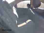 2002 Dodge Neon ES z VIN 1B3ES56C72D569309, wystawiony jako IAAI lot #41339548 z przebiegiem 170 888 mil mil oraz . Historia ofert i sprzedaży dostępna na DreamBid. Obrazek 8.