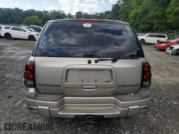 2004 Chevrolet TrailBlazer LT with VIN 1GNDS13S342302480, listed as a Copart auction lot 64365275 with 263,074 mi miles and Salvage title. Bid and sale history available at DreamBid. Image 6.