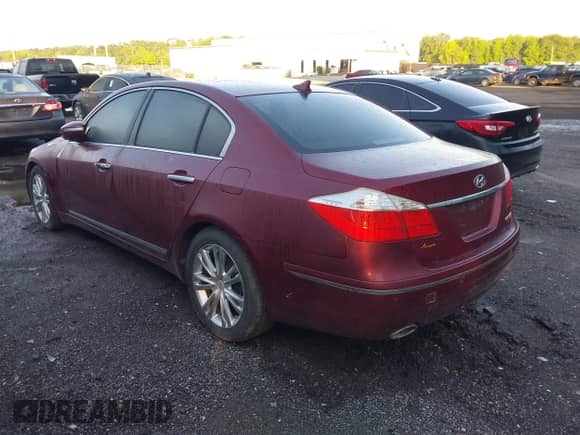 2009 Hyundai Genesis with VIN KMHGC46F19U035219, listed as a IAAI auction lot 42664073 with Not provided miles and . Bid and sale history available at DreamBid. Image 3.