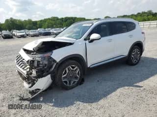 2021 Hyundai Santa Fe Limited с VIN 5NMS4DAL9MH339889, выставлен на аукционе Copart как лот 55283765 с пробегом 40 173 миль миль и Списание • Salvage title. История ставок и продаж доступна на DreamBid. Изображение 1.