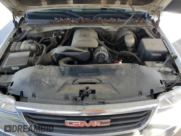 2005 GMC Sierra 1500 Work Truck with VIN 1GTEC14V35Z311482, listed as a Copart auction lot 63063505 with 290,127 mi miles and Salvage title. Bid and sale history available at DreamBid. Image 11.
