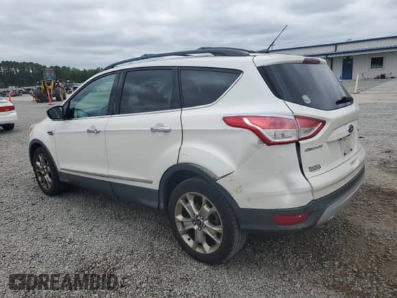 2014 Ford Escape SE with VIN 1FMCU0GX8EUA89462, listed as a Copart auction lot 80214905 with 172,660 mi miles and Salvage title. Bid and sale history available at DreamBid. Image 2.
