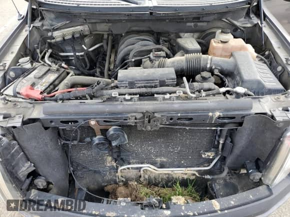 2010 Ford F-150 XL с VIN 1FTMF1C82AKA36494, выставлен на аукционе Copart как лот 55940235 с пробегом 206 893 миль миль и Списание • Salvage title. История ставок и продаж доступна на DreamBid. Изображение 11.