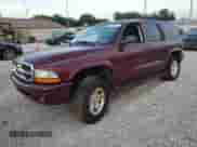 2002 Dodge Durango SLT with VIN 1B4HS48N92F105136, listed as a Copart auction lot 67446745 with Not provided miles and Salvage title. Bid and sale history available at DreamBid. Image 1.