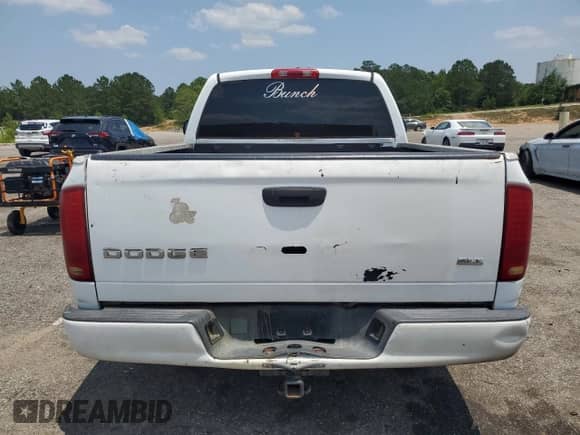 2003 Dodge 1500 ST with VIN 1D7HA16N63J515727, listed as a Copart auction lot 59594535 with Not provided miles and Clean title. Bid and sale history available at DreamBid. Image 6.